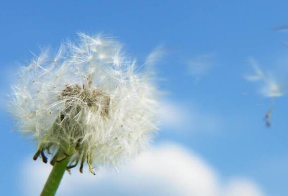 励志语录文案经典短句