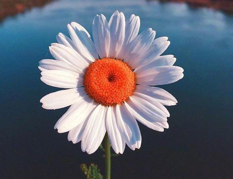 励志早安语录文案正能量语句