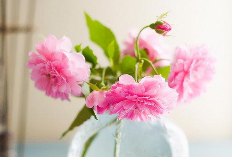 温馨问候早上好的句子文案