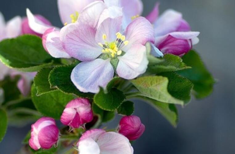 奋斗激发人心励志早安正能量句子文案