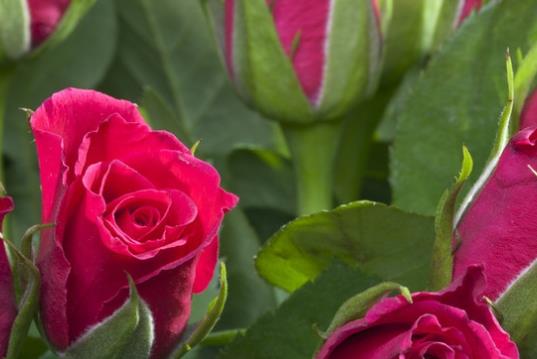 朋友要走了送别的句子文案