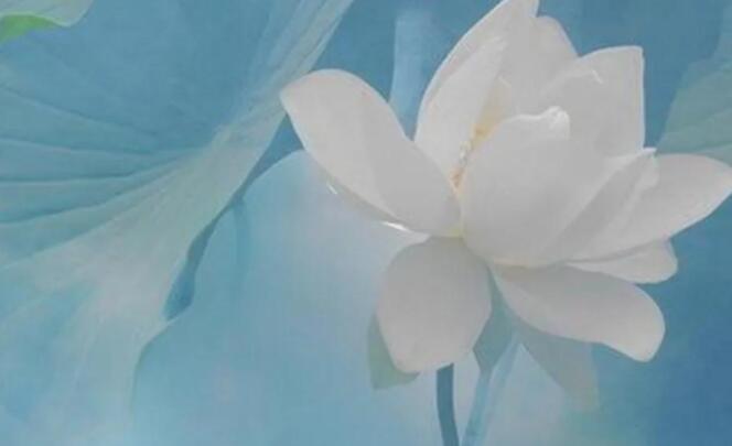 勇往直前的励志句子文案