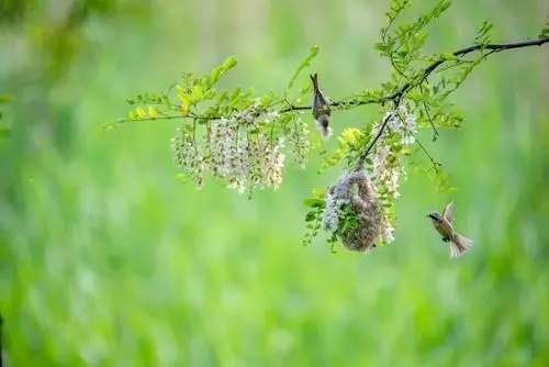 二年级课外阅读好词好句文案摘抄
