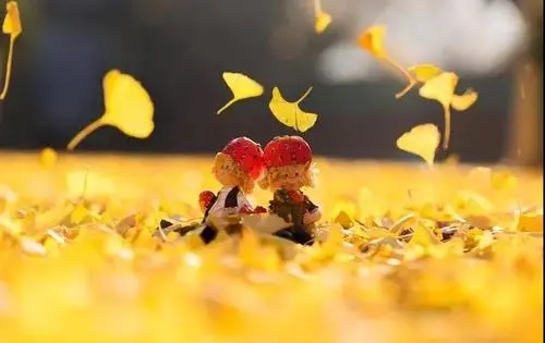 关于秋天的句子文案唯美经典语录