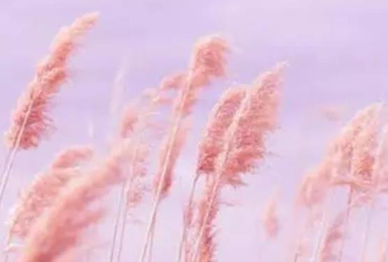 缘分八个字的个性签名