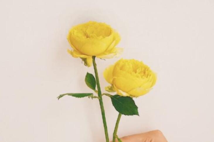 祝朋友节日的祝福语