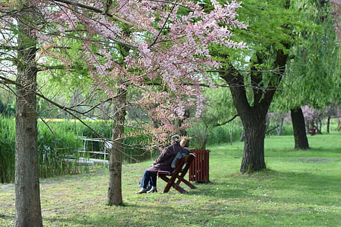 感情一方付出的句子文案