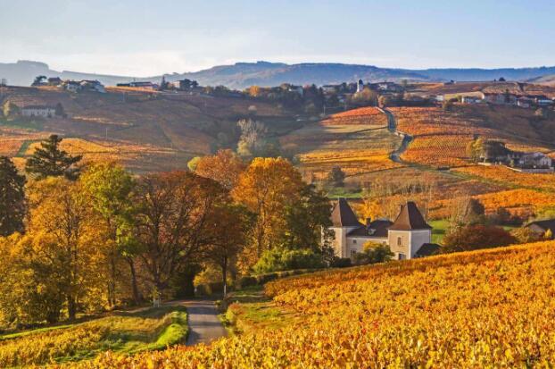 乐观的句子文案简短唯美