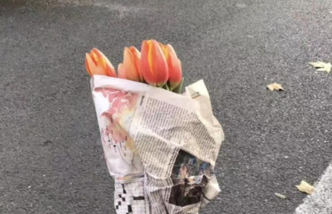 干净温柔的治愈系文案