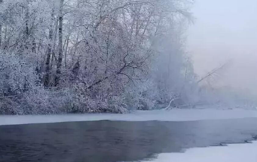 写五个关于冬天优美句子文案