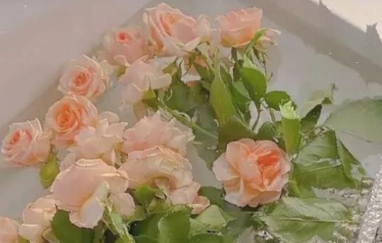 个性签名句子文案短句