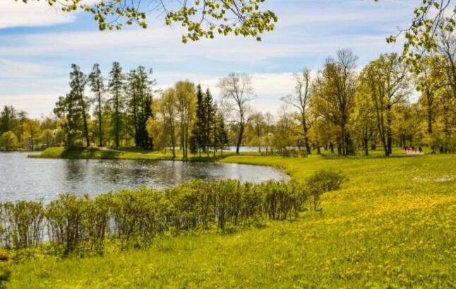 关于春天出游的句子文案有哪些?