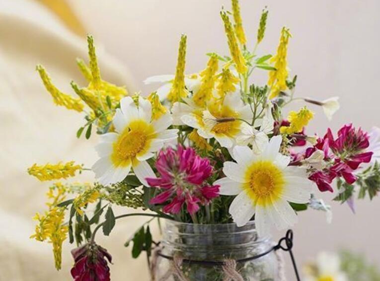 早安语录文案优美