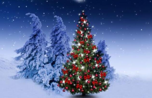 关于圣诞节的语句文案