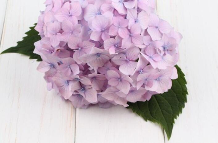 安慰女人心累的话语