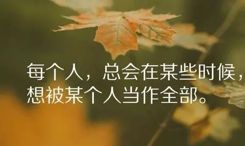 感悟感恩人生的经典句子文案