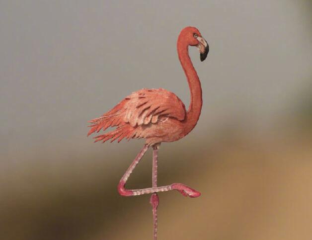 生活说说文案很现实的说说文案