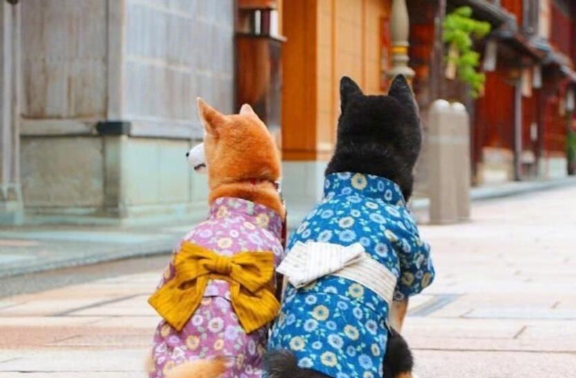 适合发说说文案的文艺长句