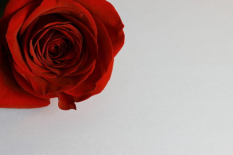 关于刚刚好的文案