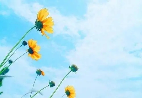 励志正能量文案