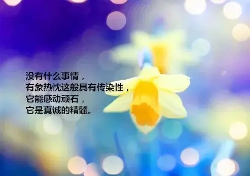 冬天情人早安问候语