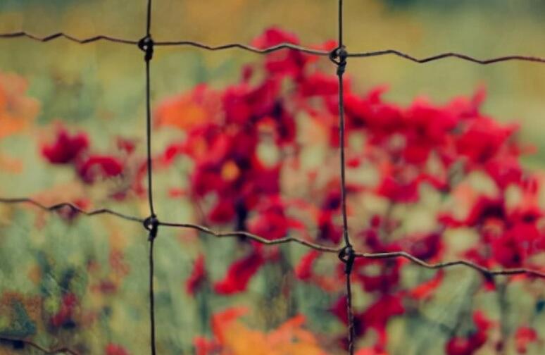 励志的心灵鸡汤文章