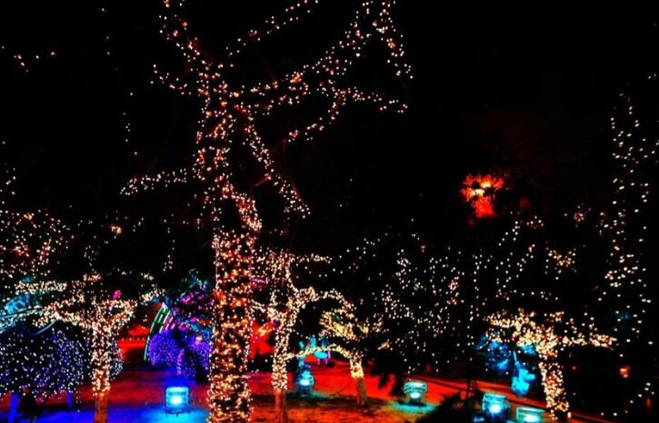 适合平安夜发的搞笑说说文案