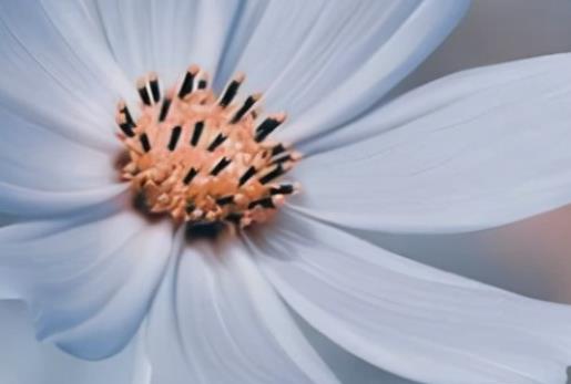 青少年励志名言短句精选