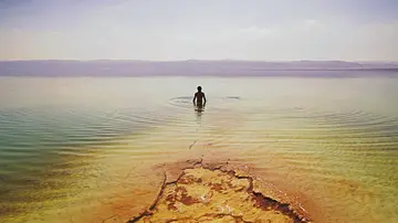 孤独与自由经典语录文案