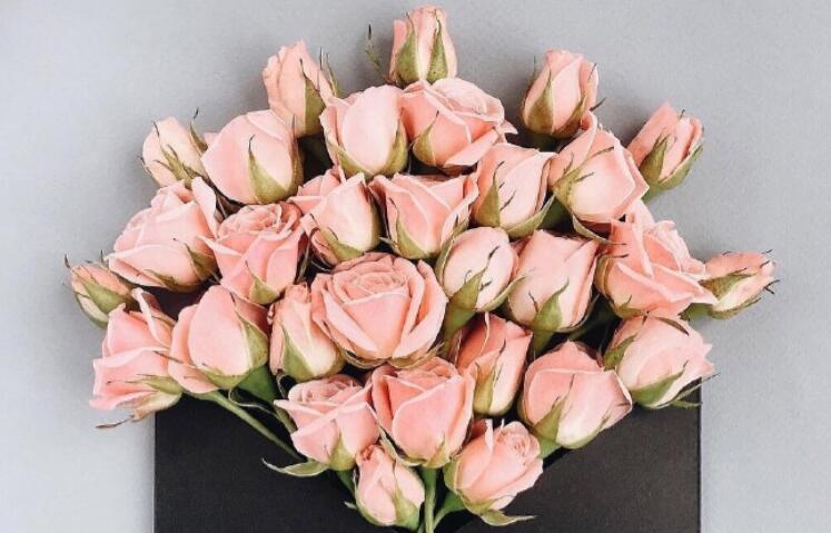 感人的情话文案