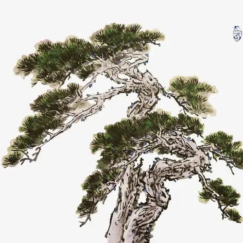 形容松树的词语