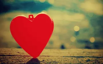 好的语文句子文案