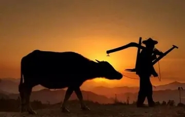 怀念父亲最落泪的诗句文案