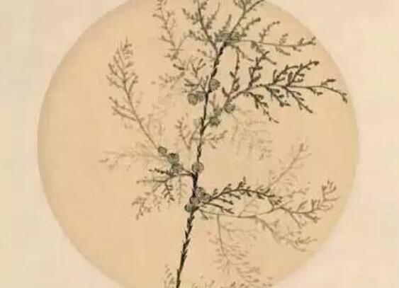 描述失望的古诗词