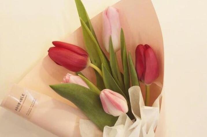 早上好的祝福语