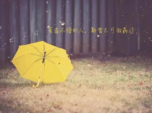 每日一句情感心语