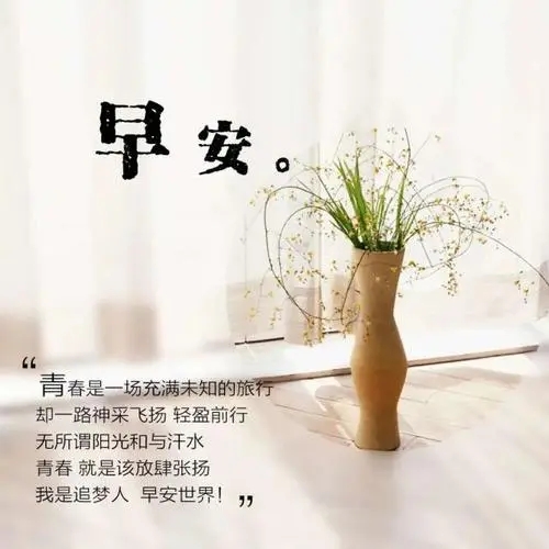 早上适合发朋友圈的图片大全