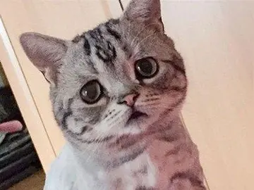 憋屈委屈想哭的说说文案