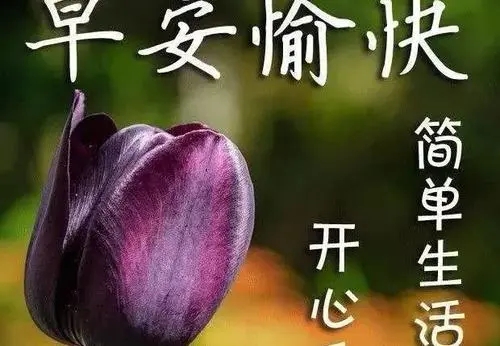 快乐的祝福语短句