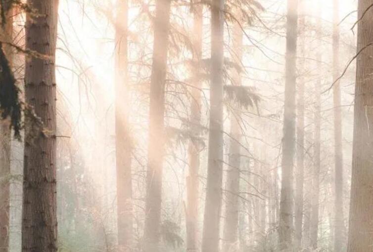 原耽小说里的励志句子文案