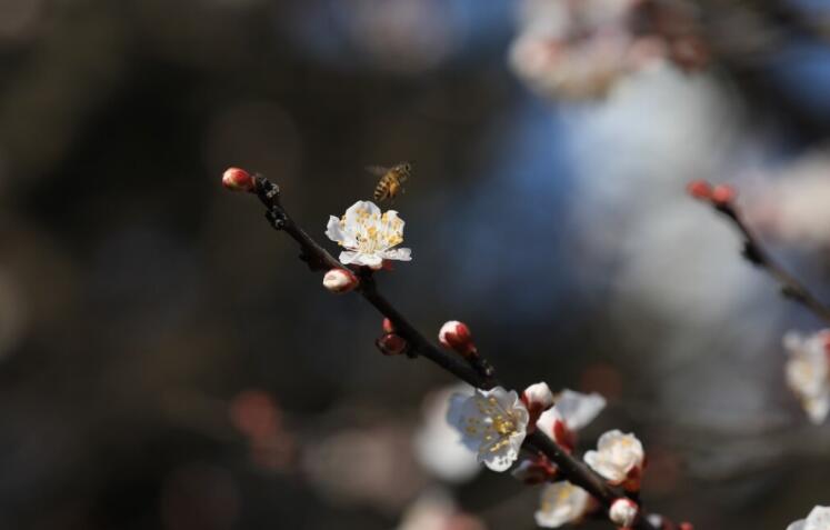 人生苦短感悟的说说文案