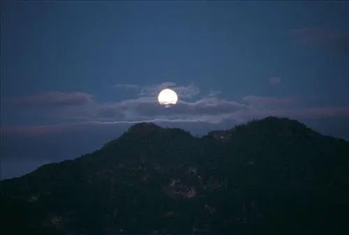 关于尊严的句子文案摘抄