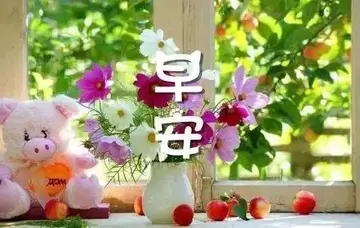 早上好的祝福语图片全部