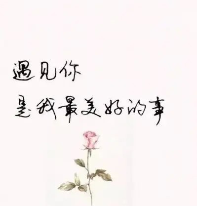 文艺清新爱情句子文案