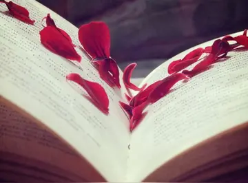 关乎仇恨的英语名句文案