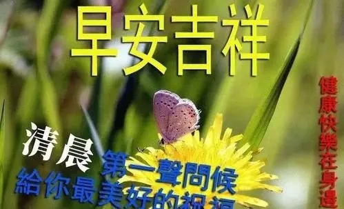 夏天早晨好的问候图片
