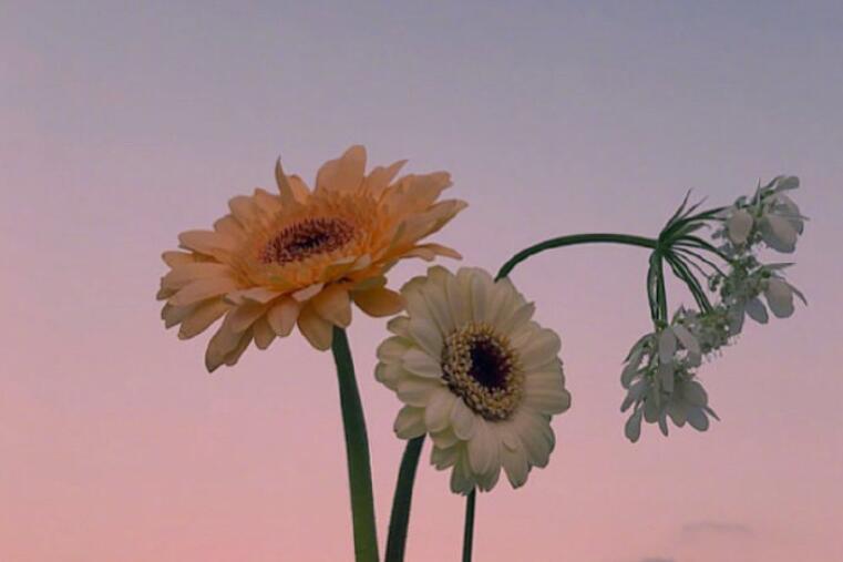 2024生活说说文案