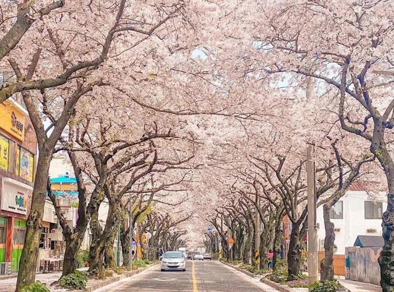 春天的气息的句子文案短一点的