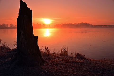 坚持一份事业的句子文案