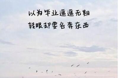 毕业季经典短句8字
